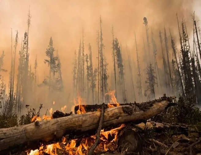 918������(�й���)�ٷ���վ